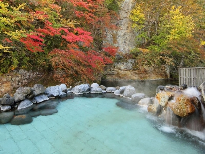 沢内高原温泉 温泉の歴史ジャパン